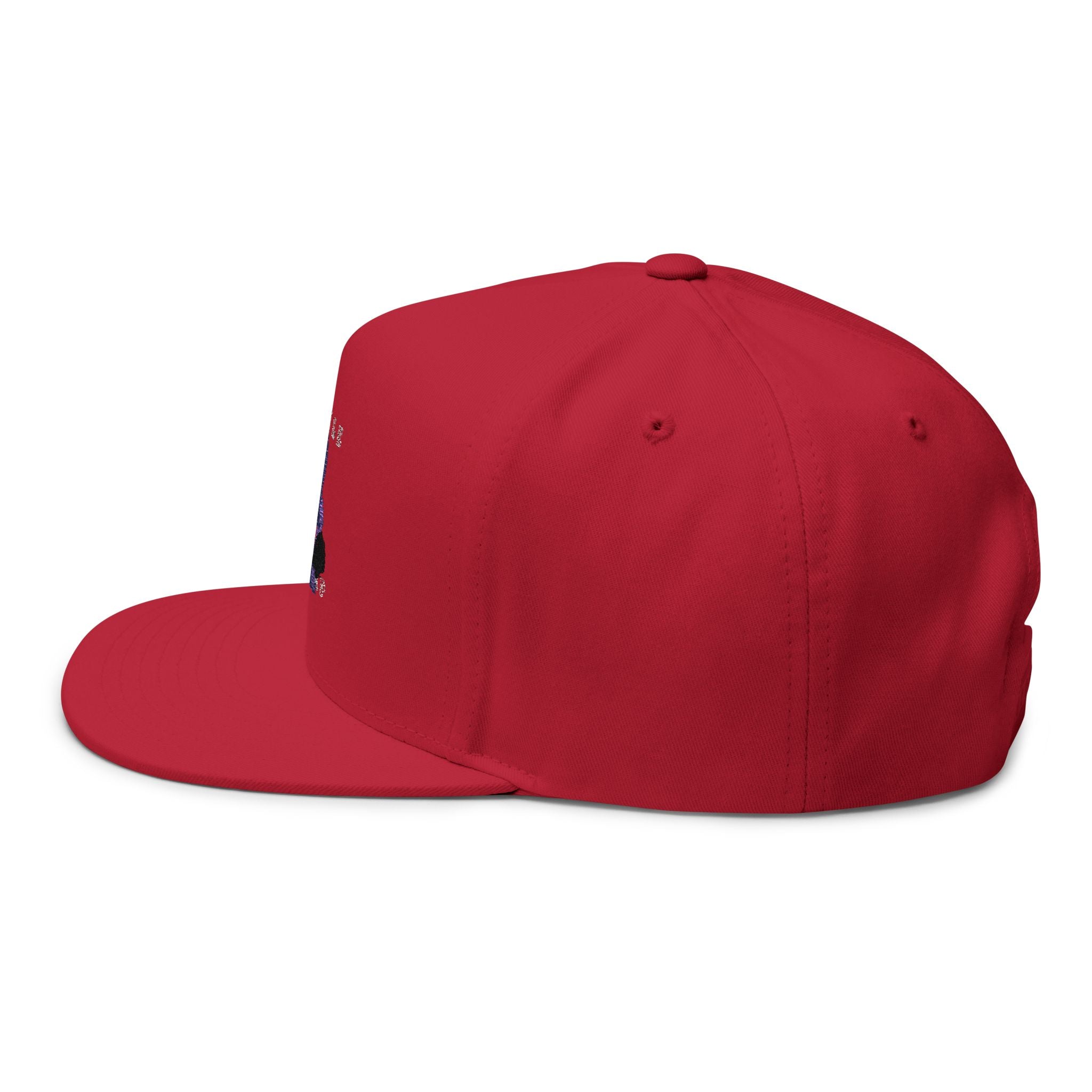 Embroidered Flat Bill Cap — Vintage Blue Silhouette Design