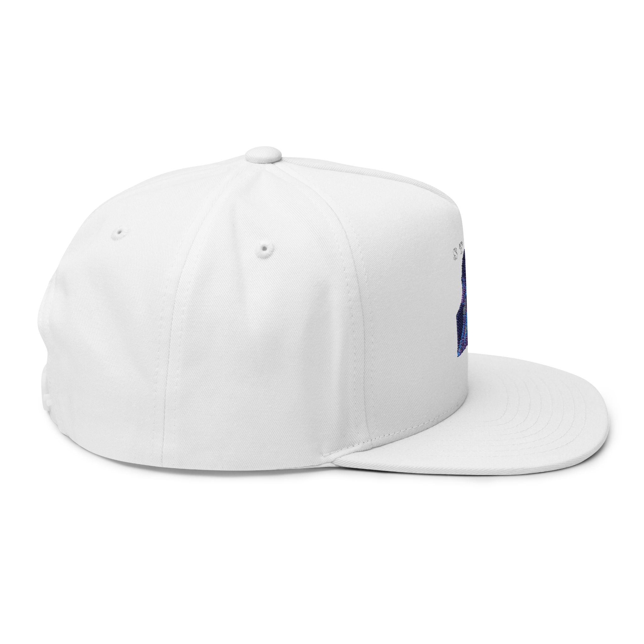 Embroidered Flat Bill Cap — Vintage Blue Silhouette Design