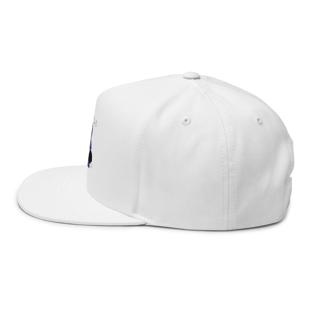 Embroidered Flat Bill Cap — Vintage Blue Silhouette Design